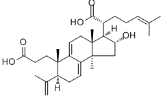 BBP60202.gif